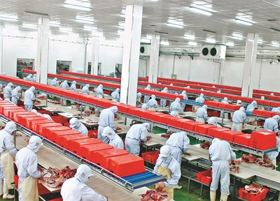 哈爾濱:規(guī)上農(nóng)產(chǎn)品企業(yè)量效雙收，現(xiàn)代農(nóng)業(yè)引擎動能強勁